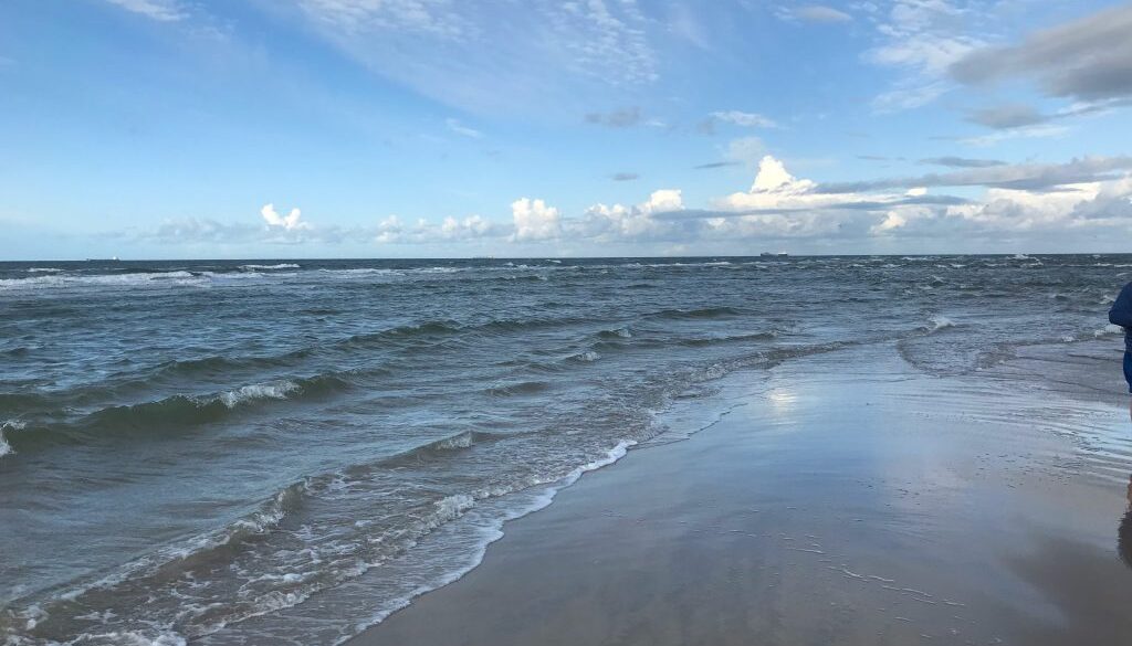 Skagen 1